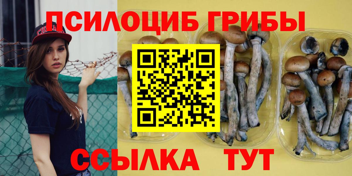 Псилоцибиновые грибы GOLDEN TEACHER  Псилоцибиновые грибы ЛСД  Вход с VPN  Малгобек 